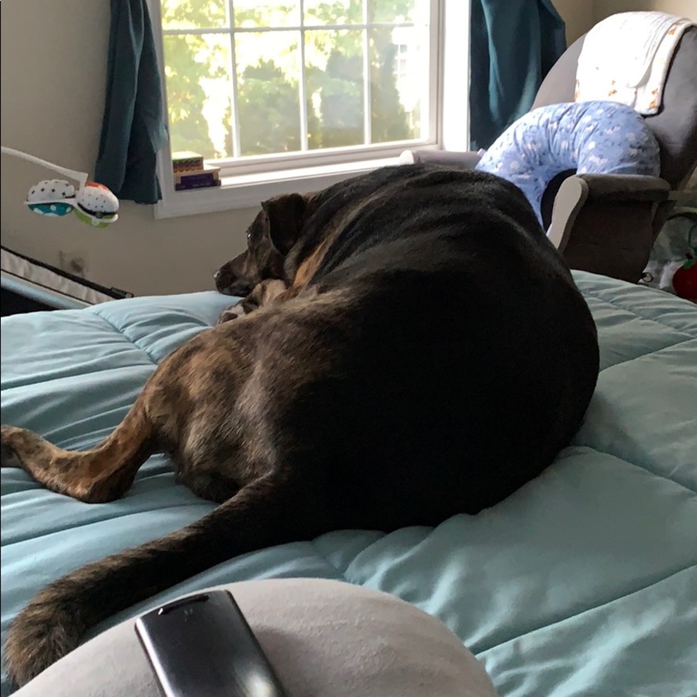 Meet your Posher, Jonathan